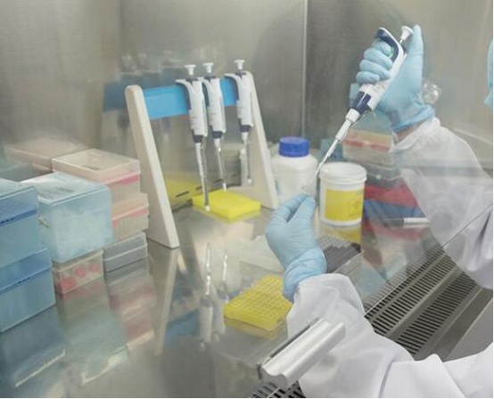 人的基因有時候是可以改變的