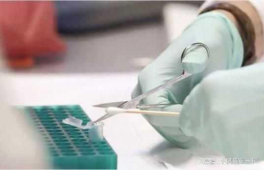 廣州做司法親子鑒定需要多少錢3